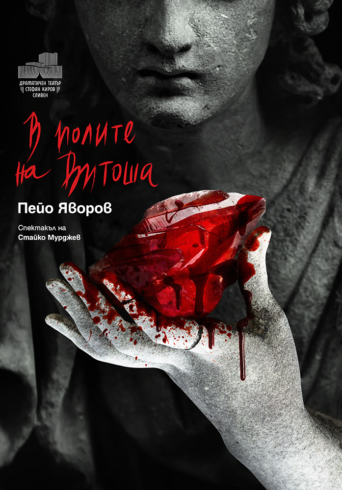 30-ДТ-В-полите-на-Витоша.jpg