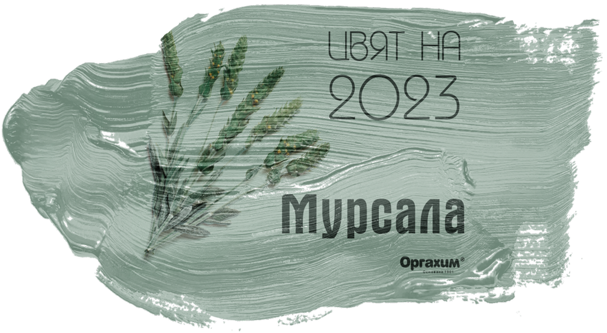 Mursala_2023.png