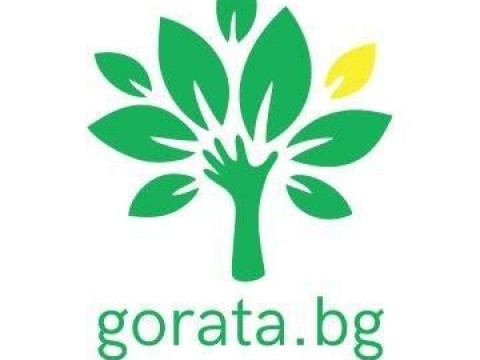480x360-fa444532f677656465d4c1d27a68a4ae.jpg