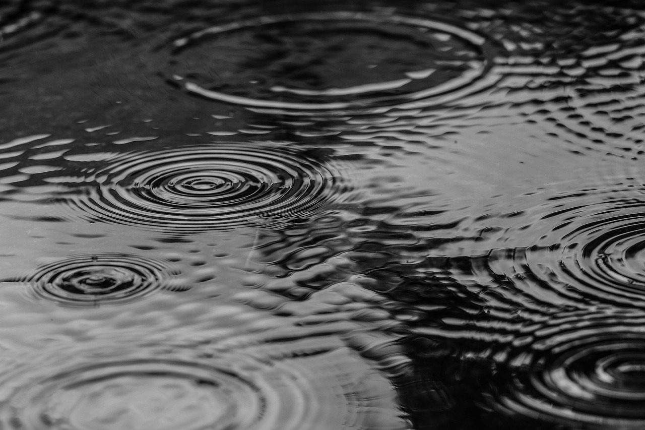 puddle-2584378_1280.jpg