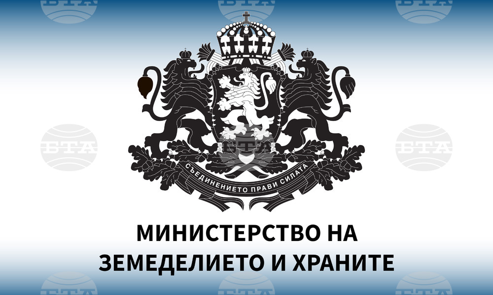 MZH (1).jpg