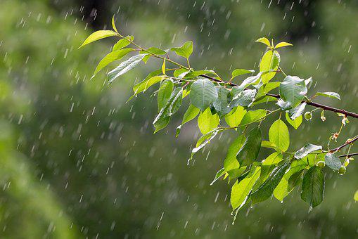 rain-3411982__340.jpg