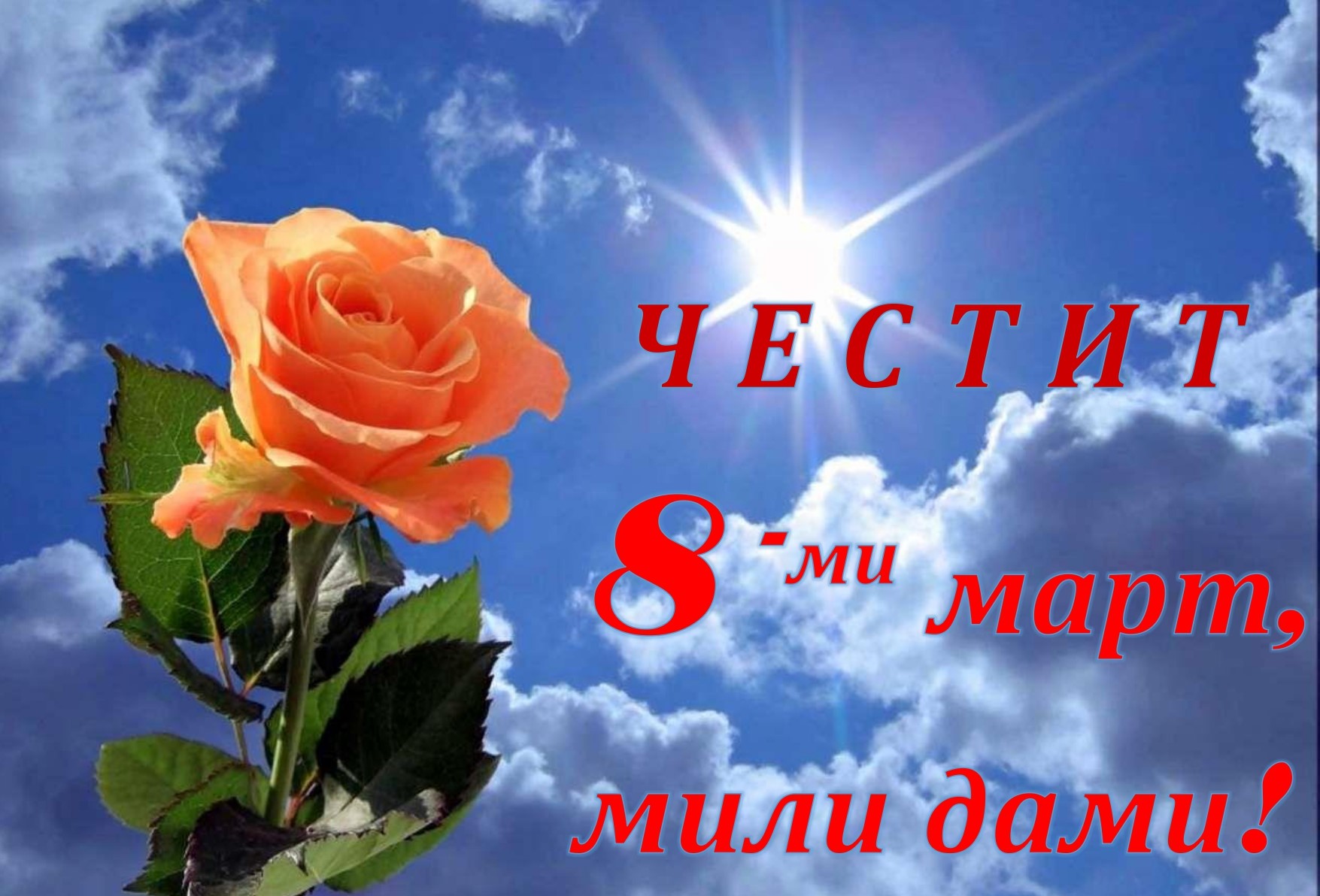 8 март_page-0001.jpg