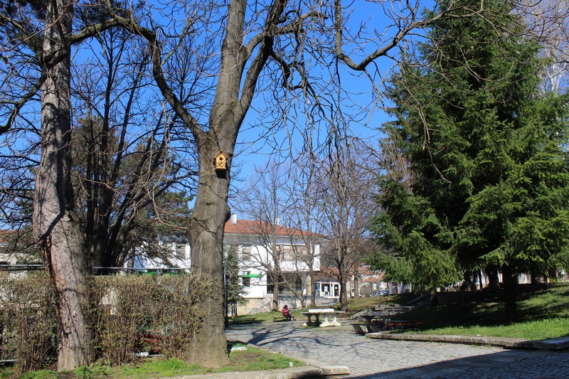 IMG_6834.JPG