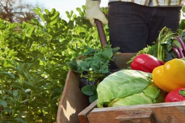bio.jpg__623x416_q85_crop_subsampling-2_upscale.jpg