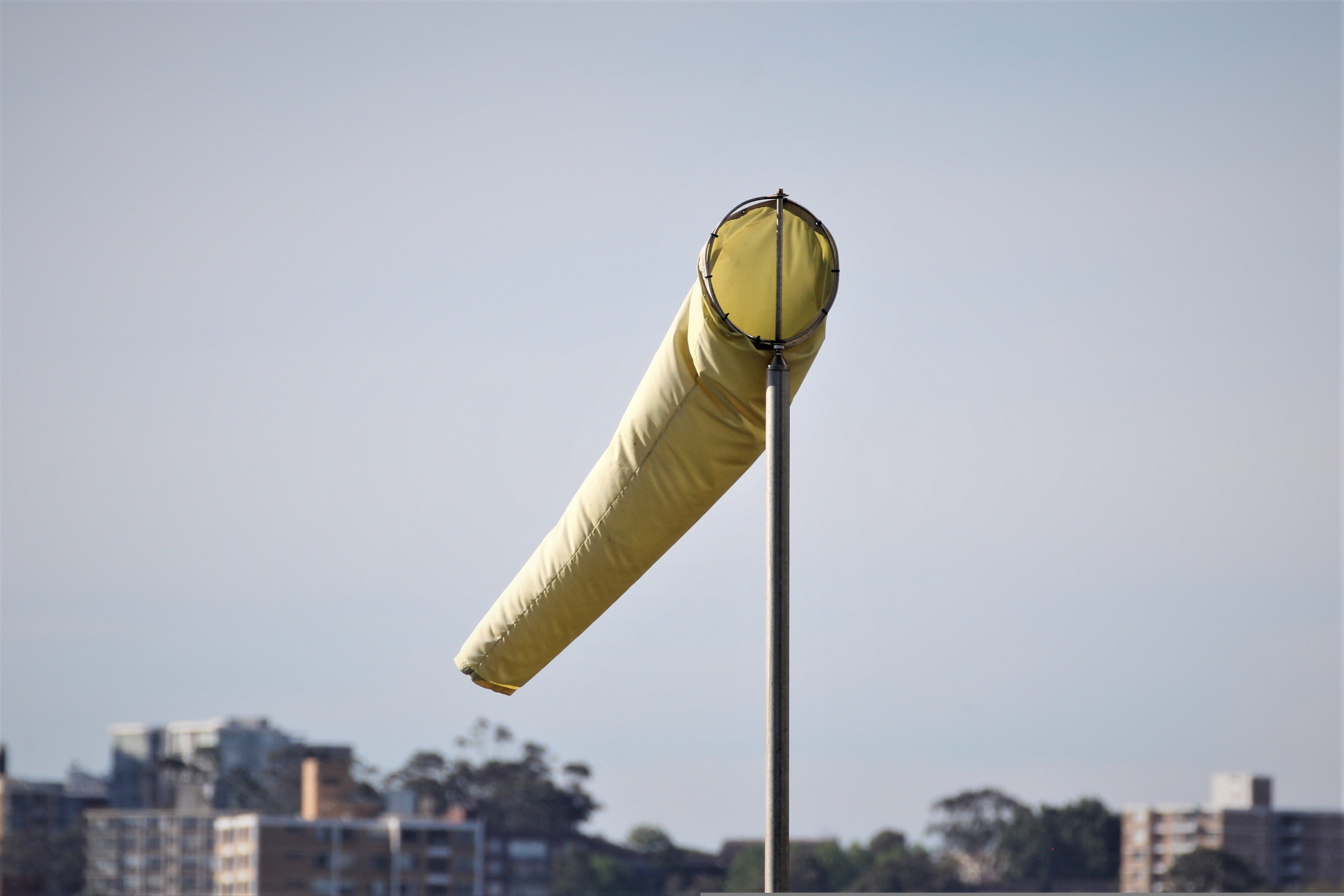 nel_botha-windsock-4578243.jpg