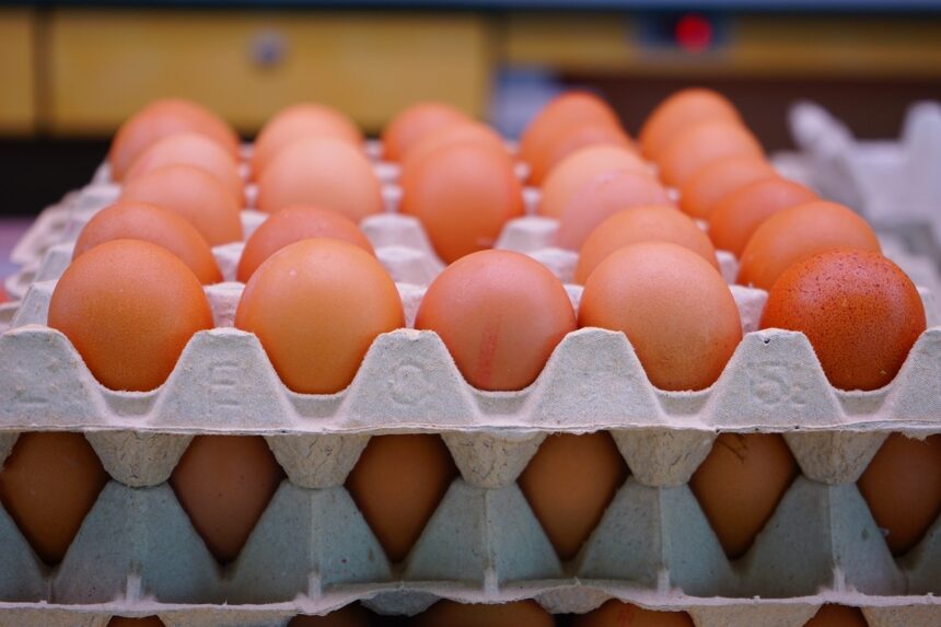 eggs-318227_1280-860x573.jpg