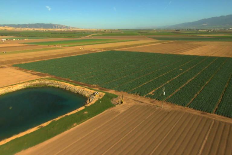 768--c-aerial-california-usa-farming-crops-field-vegetation-agricultural_v19adynhg__F0000-960x640.jpg