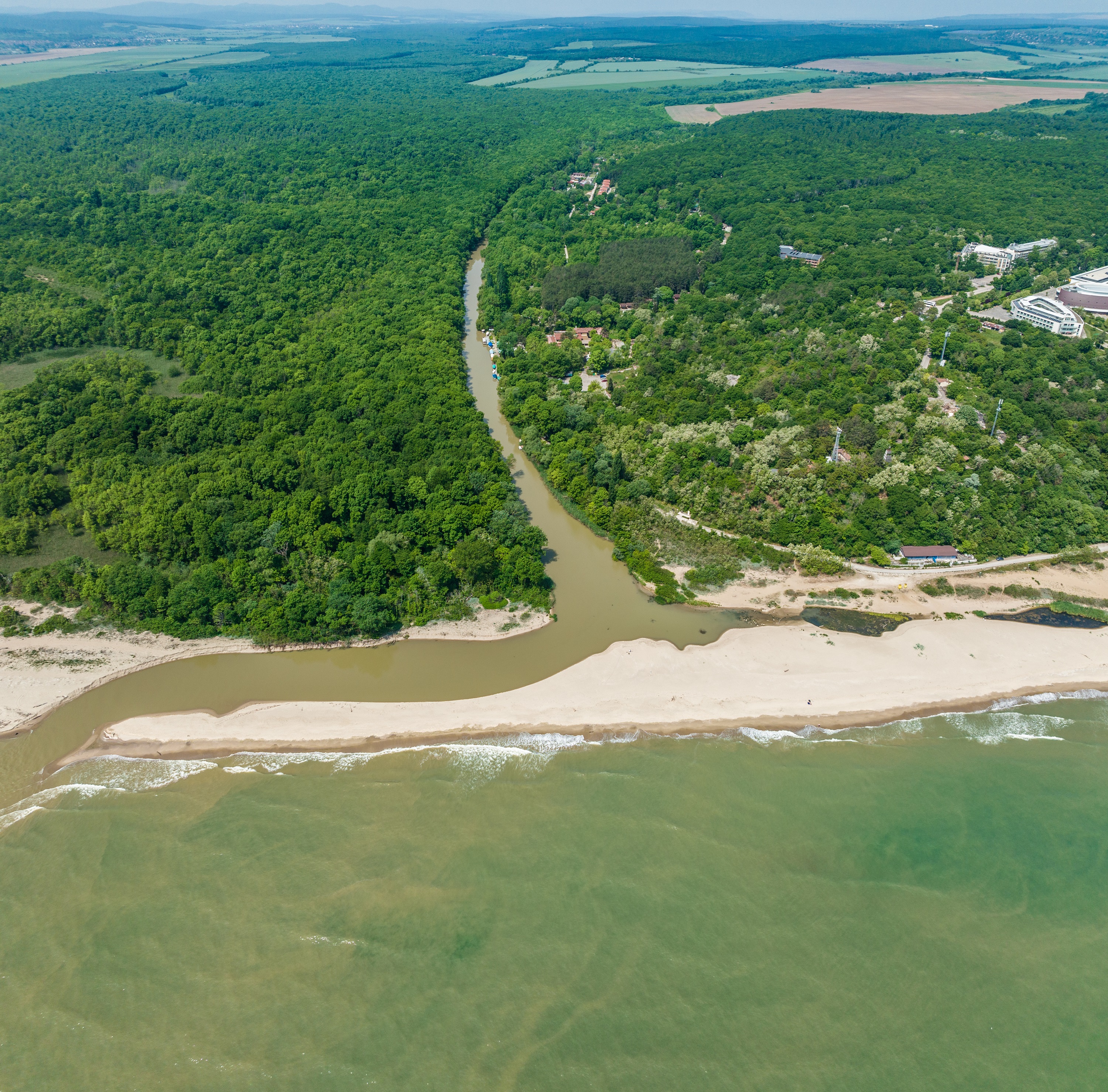Festival Location.jpg