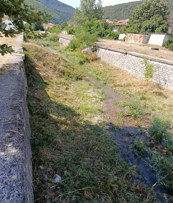 IMG_5301.jpeg