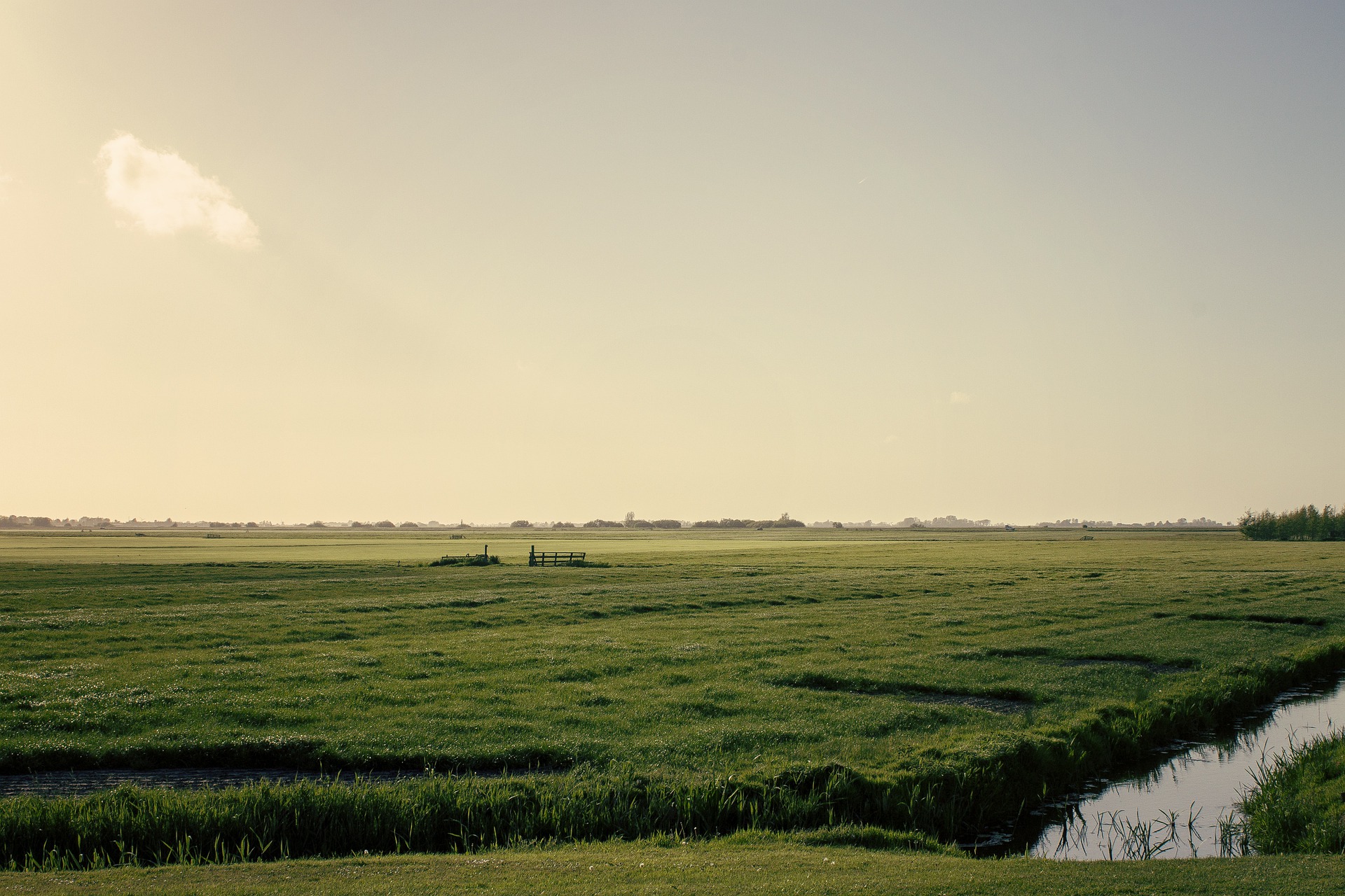 friesland-ge5b20e66f_1920.jpg