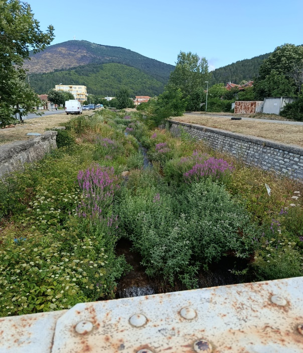 IMG_5302.jpeg