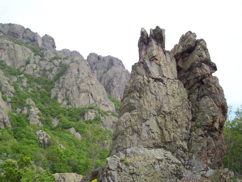 ПП'Сините камъни'