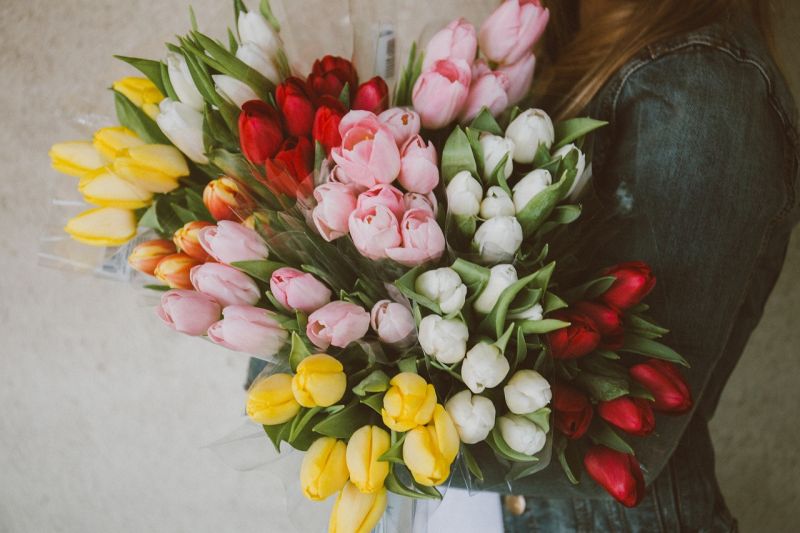 stocksnap-tulips-2617216_1280.jpg