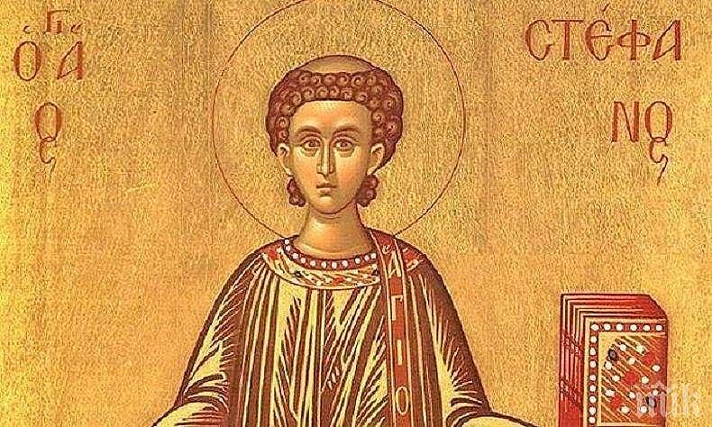 stefanovden.jpg