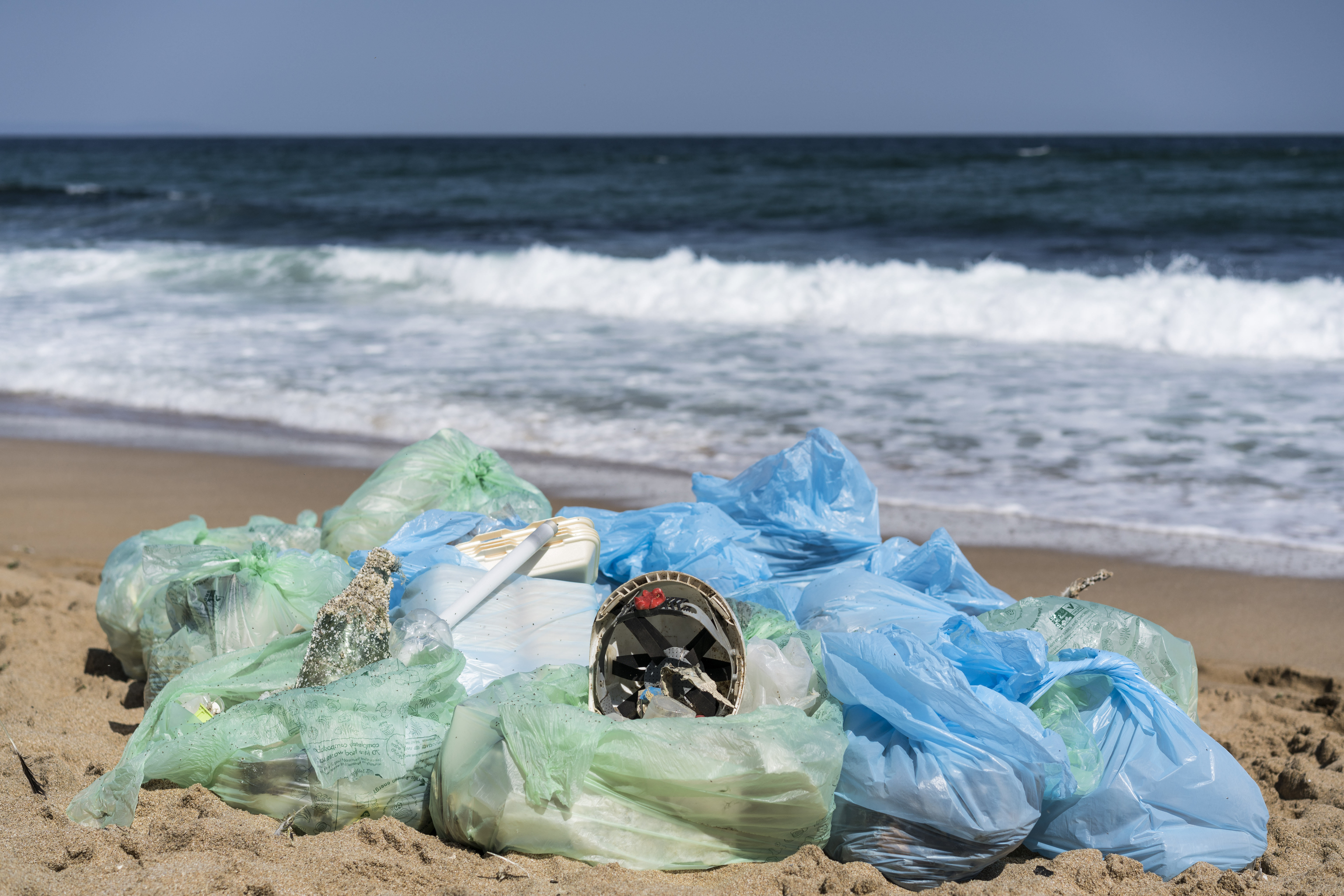 Ritual Gatherings_Beach Clean by Sandro Arabyan (2).jpg