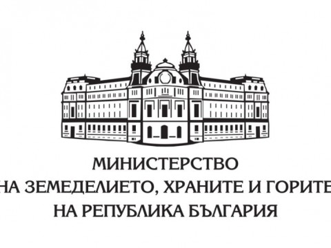 480x360-ab134b6ae1dc9df48f723f0ffeea52ee.jpg